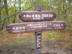 哴RR