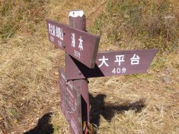 䕪